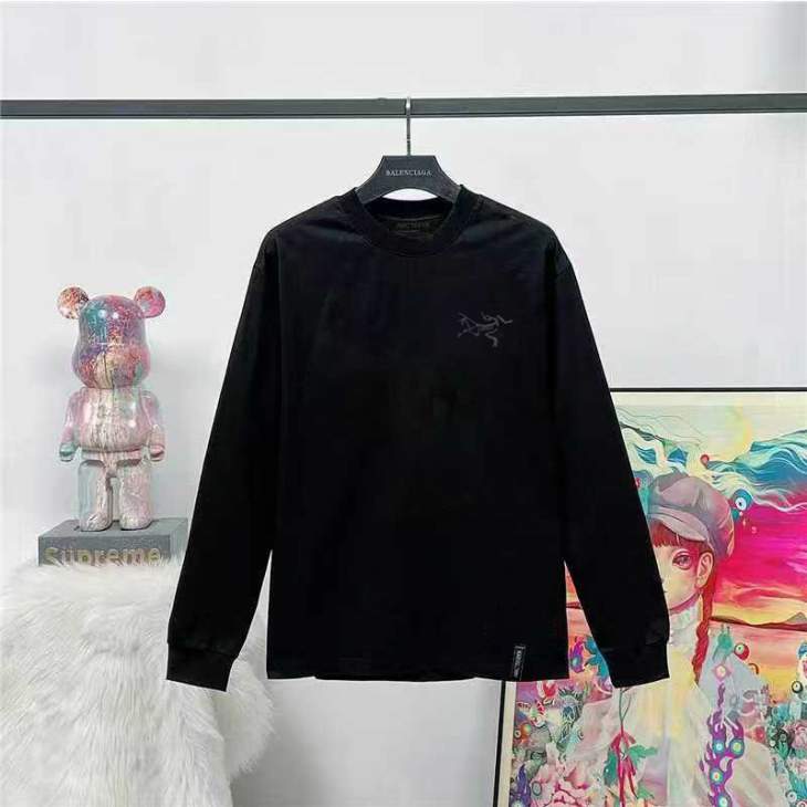 Picture of Arcteryx T Shirt Long _SKUArcteryxXS-LtptxD51049752